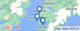 map of fishing charters in Homer
