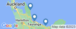 mapa de operadores de pesca en Bay of Plenty