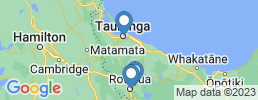 mapa de operadores de pesca en Tauranga