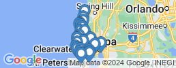 map of fishing charters in Palm Harbor