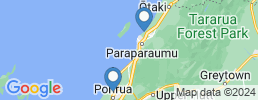map of fishing charters in Porirua