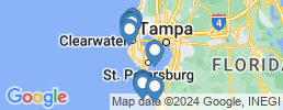 mapa de operadores de pesca en Tampa Bay