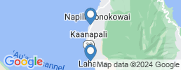 mapa de operadores de pesca en Lahaina