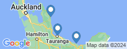 mapa de operadores de pesca en Bay of Plenty