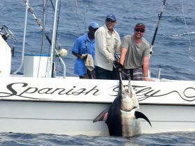 Charter Image