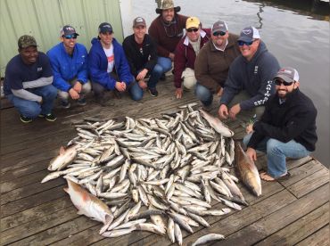Waterfowl Specialist Guide Service thumbnail