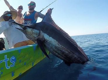 Surfandfishing  Charters