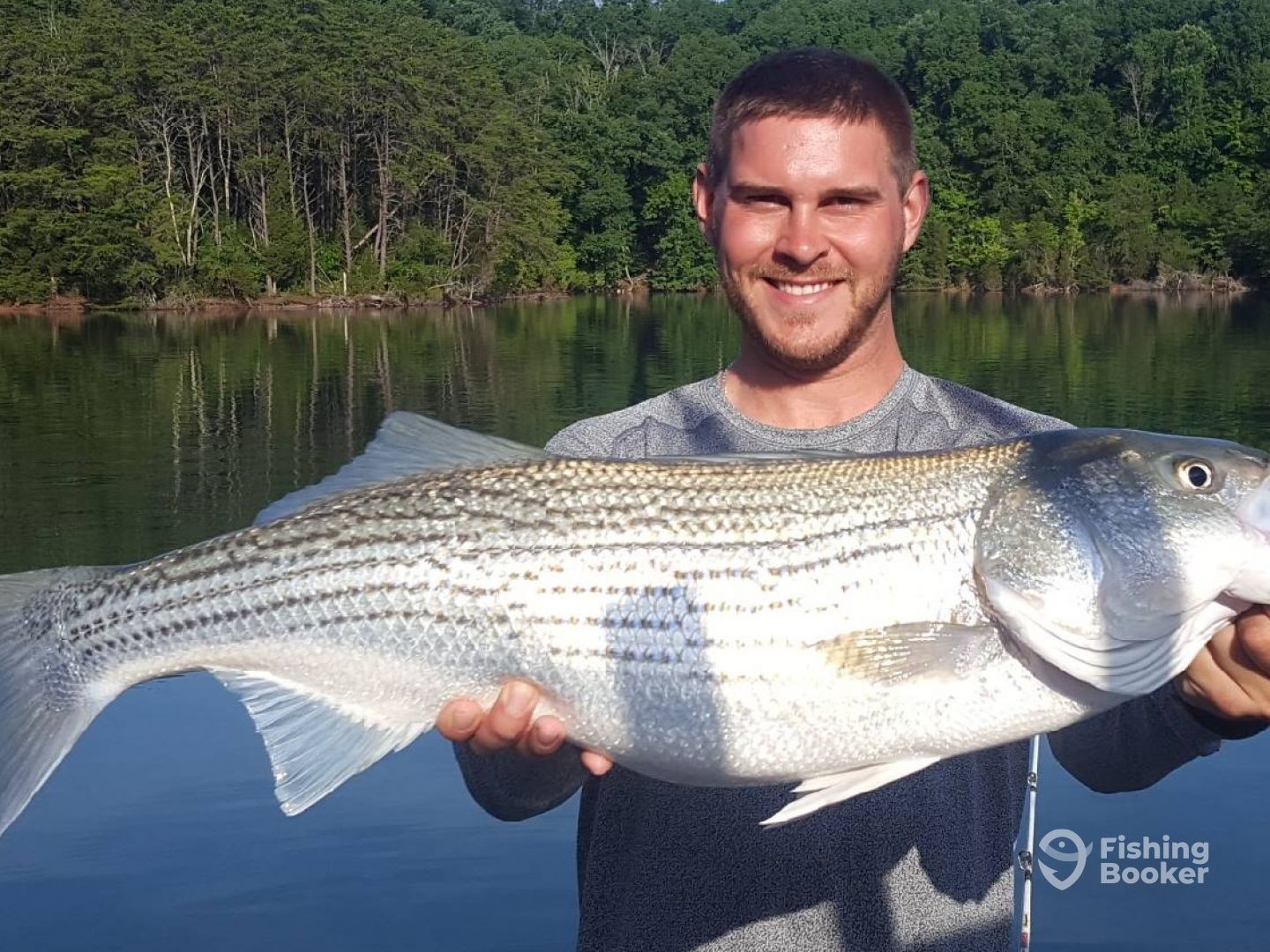 Cherokee lake striper fishing clearance