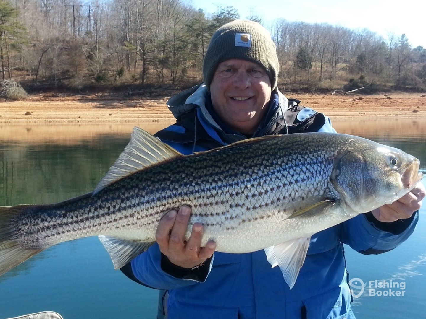 Cherokee lake striper fishing clearance
