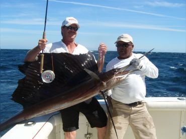 Sailfish on the fly