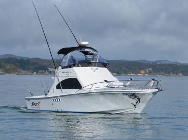 SpotX Fishing Charters - Screaming Reels thumbnail