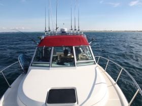 Charter Image