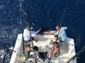 Championship Offshore Outfitting And Charters