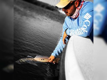 Twisted Anchor Charters thumbnail