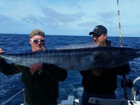 Charter Image