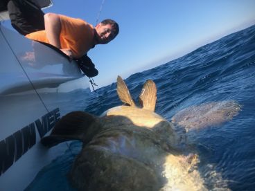 Capt. SGT Peterson's – Apalachicola thumbnail