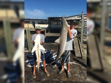 Fish N Divers thumbnail