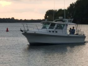 Charter Image