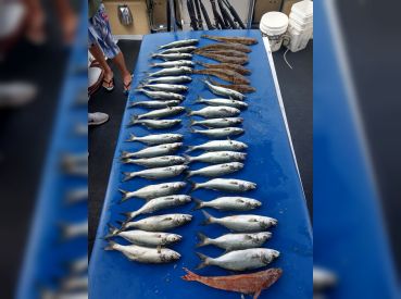 Paradise Fishing Charters