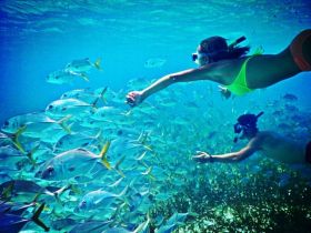 Get To Know Belize – Fishing & Snorkeling