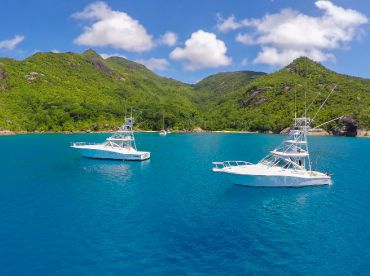 A1 Fishing - Alati thumbnail