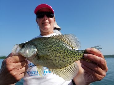 Stockton Lake Crappie