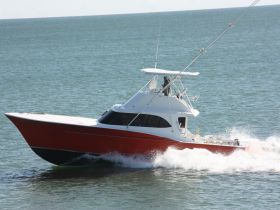 Fish Ocracoke Aboard The Free Ranger