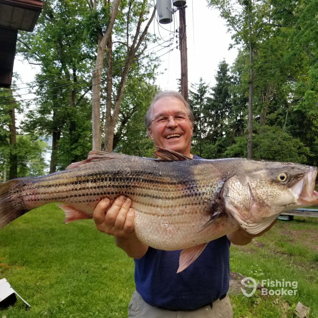 Lake wallenpaupack striper fishing Clearance
