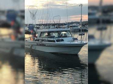 D.D. Rod Father Sportfishing