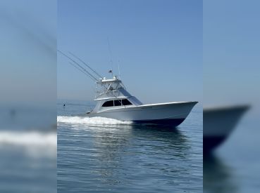 Top Dog Charters - Cape Charles, VA