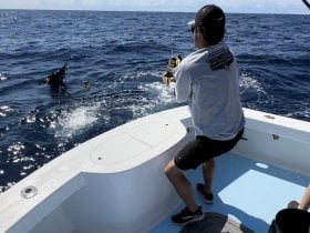 Charter Image