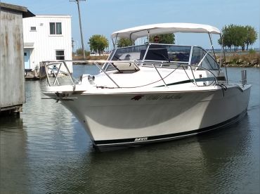 Wild Irish Rose Charters and Vacation Rental thumbnail