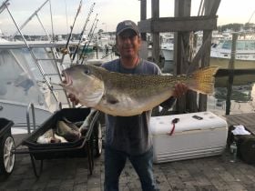 40 pound golden tilefish