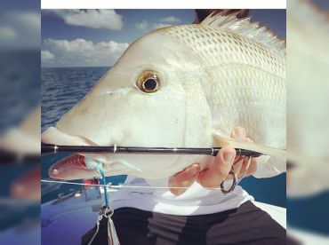 Fishing Adventures