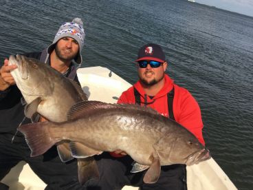 Sunstate Fishing Charters