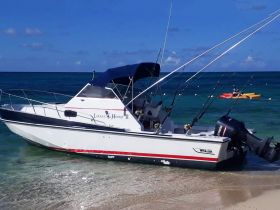 Charter Image