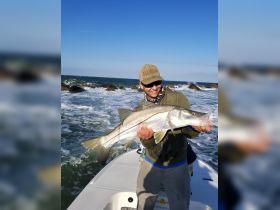 Beautiful snook