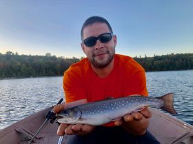 Brook Trout