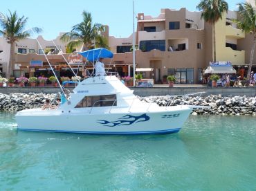 Cabo Sport Fishing–31' Californian thumbnail