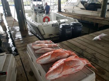 Reelhard Fishin Charters – 30'