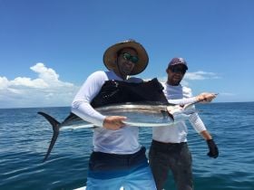 Gulfcoast-Fishing Charters