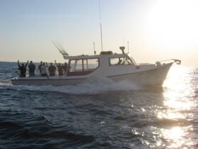 Charter Image