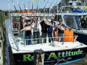 Charter Image