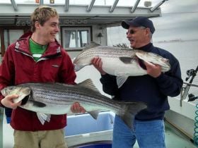 Charter Image
