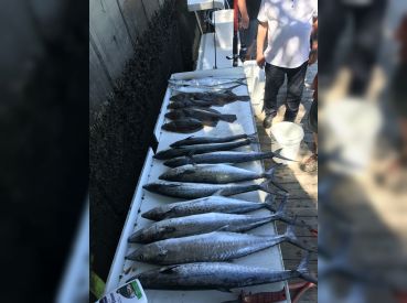 Outlaw Fishing Charters thumbnail