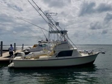 Reel Vibes Charters Grand Cayman Updated 2020 Prices Cayman