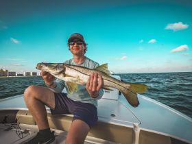Clearwater Snook! 