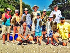 Flounder Beat Down 