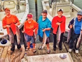 Limit of King Mackerel 