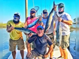 King Mackerel Makes you Crazy 